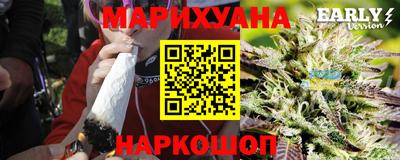 молекула духа Будённовск